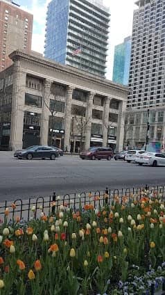 Magnificent Mile photo 5