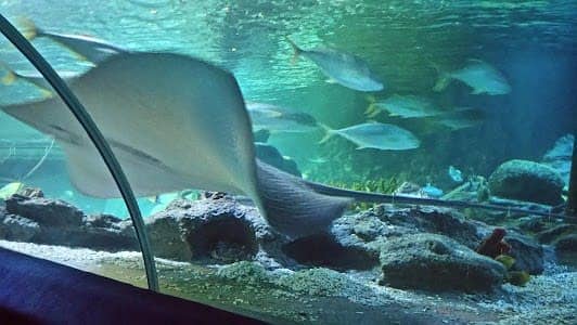 SEA LIFE photo 3