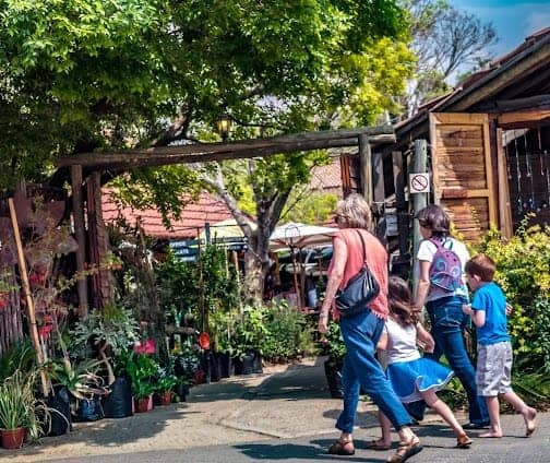 Bryanston Market photo 2
