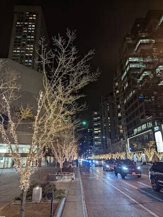 Bloor Street West photo 5