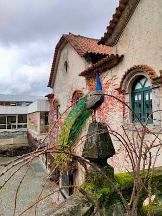 Quinta da Aveleda photo 4