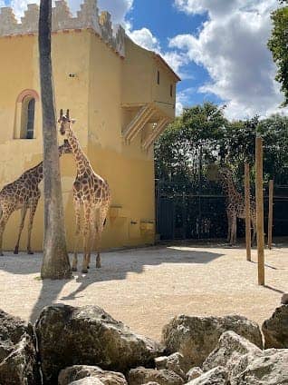 Jardim Zoológico photo 3