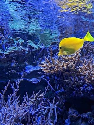 L’Aquàrium de Barcelona photo 3