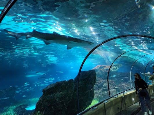 L’Aquàrium de Barcelona photo 5