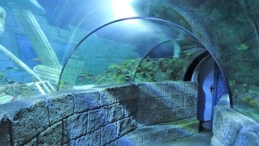 SEA LIFE Centre Porto photo 2