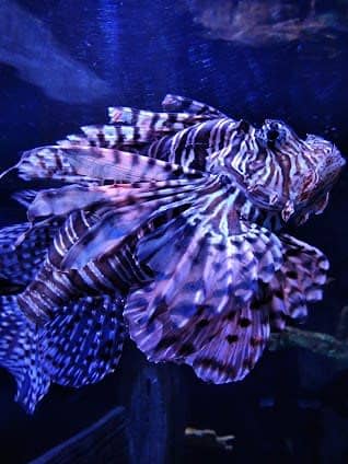 SEA LIFE Centre Porto photo 3