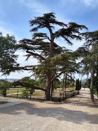 Parc de la Moline photo 4