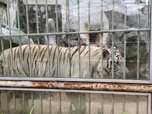Hanoi Zoo photo 4