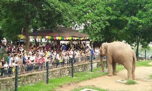 Hanoi Zoo photo 5