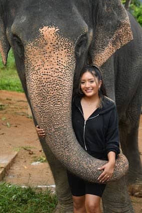 Elephant Jungle Sanctuary Phuket photo 2