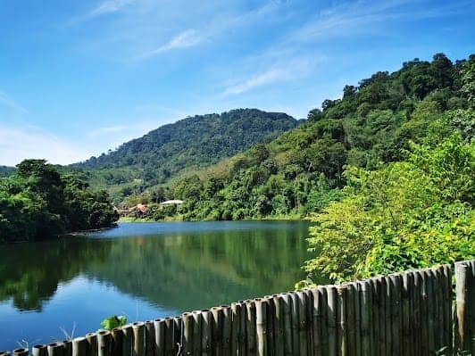 Elephant Jungle Sanctuary Phuket photo 4