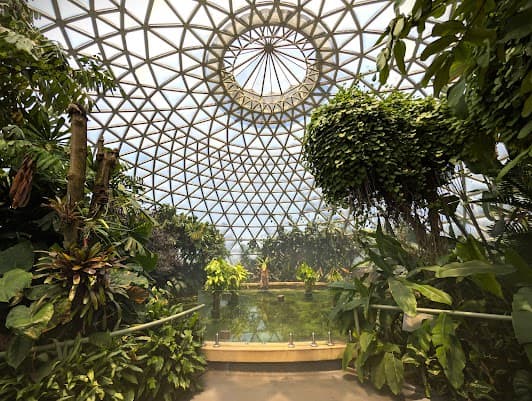 Brisbane Botanic Gardens Mt Coot-tha