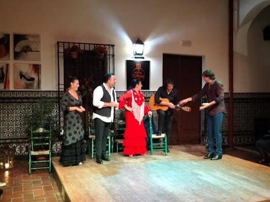 La Casa del Flamenco - Auditorio Alcántara photo 3
