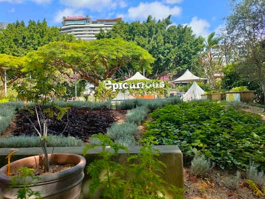 South Bank Parklands photo 2