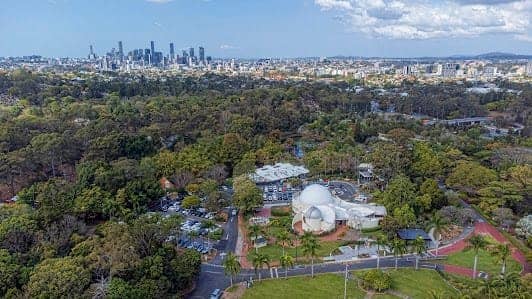 Brisbane Botanic Gardens Mt Coot-tha photo 3