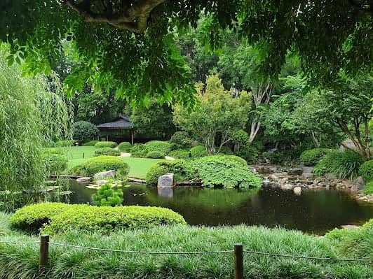 Brisbane Botanic Gardens Mt Coot-tha photo 7