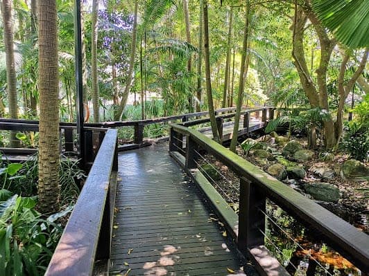 South Bank Rainforest Walk