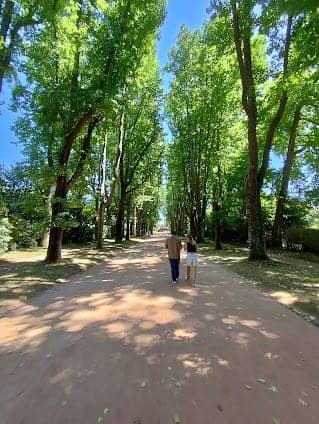 Serralves Museum of Contemporary Art photo 4