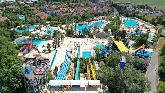 Aqua Club Dolphin