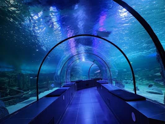 SEA LIFE photo 6