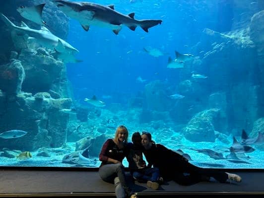 SEA LIFE photo 7