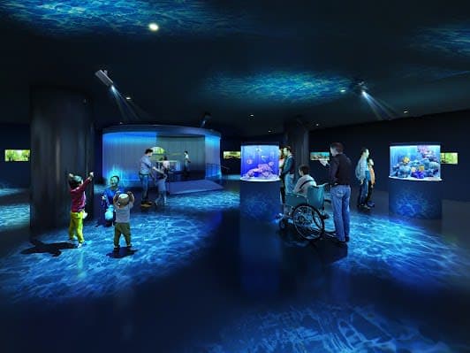 Hiroshima Motomachi Aquarium (Aqua Alive Museum)