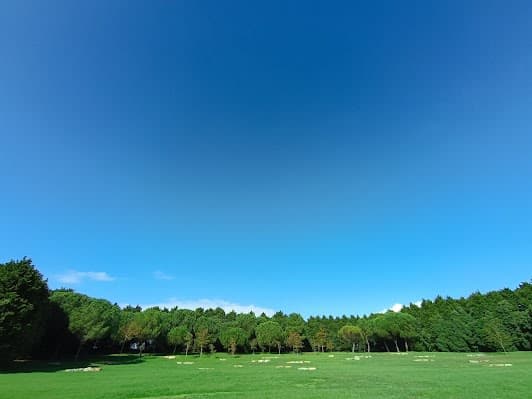 Parque da Cidade do Porto