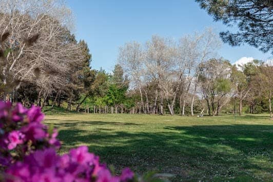 Parque da Cidade do Porto photo 2