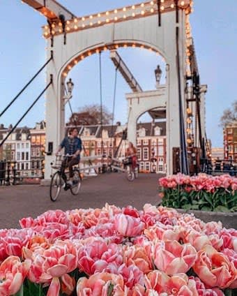 6 days in Amsterdam, Netherlands: itinerary with Top attractions and Hidden Gems itinerary cover