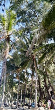 Kamala Beach photo 5