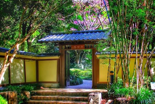 Brisbane Botanic Gardens Mt Coot-tha photo 5