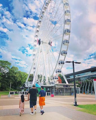 The Wheel of Brisbane