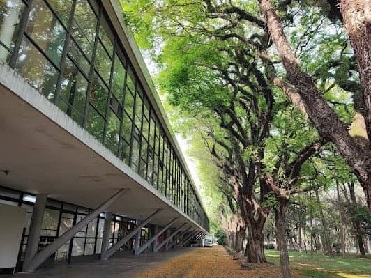 Museu Afro Brasil photo 6