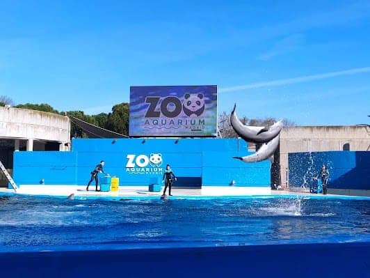 Zoo Aquarium de Madrid photo 5