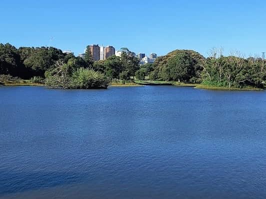 Centennial Park photo 4