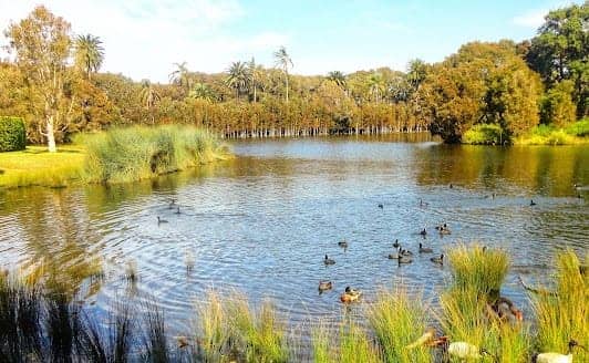Centennial Park photo 5