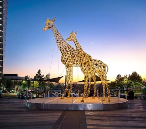 6 Days in Johannesburg, South Africa