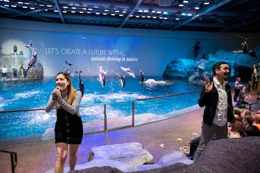 Shedd Aquarium photo 3