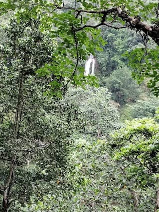 Gitgit Waterfall photo 3
