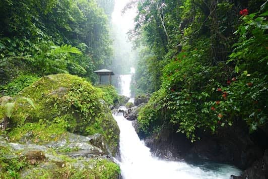 Gitgit Waterfall photo 4