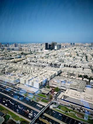 Zabeel Park photo 3