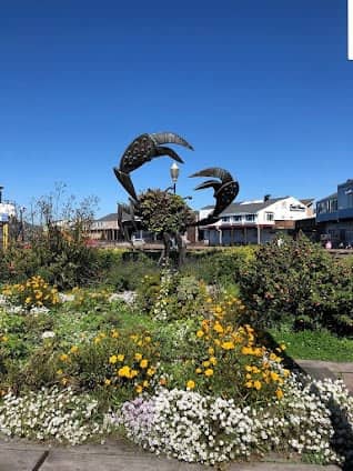 Fisherman's Wharf photo 4