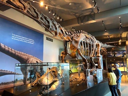 Natural History Museum of Los Angeles County photo 3