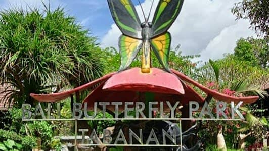 Bali Butterfly Park Tabanan photo 6