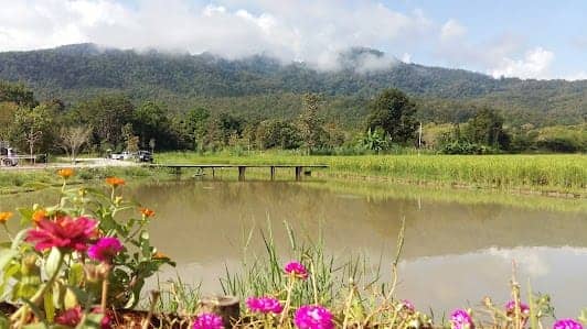 Huai Tueng Thao photo 4