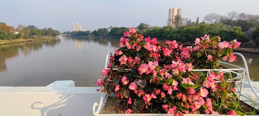 7 Days in Chiang Mai, Thailand