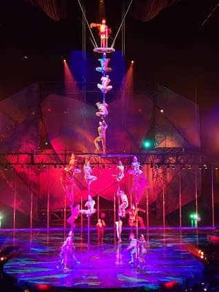 Mystère by Cirque du Soleil photo 4