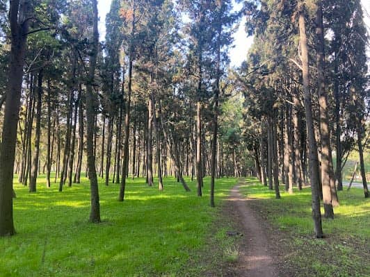 Florya Atatürk Forest photo 2