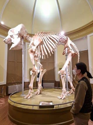 Natural History Museum Rotterdam photo 3