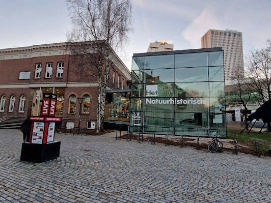Natural History Museum Rotterdam photo 4